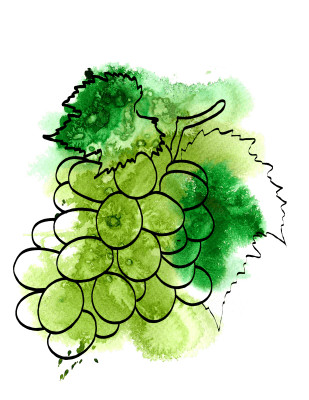 Vinprovning - Bubblornas magiska värld