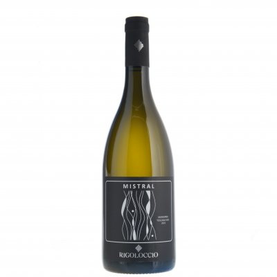 Rigoloccio Montecalvo Costa Toscana - Vitt Vin - Toscana - Fiano - Chardonnay